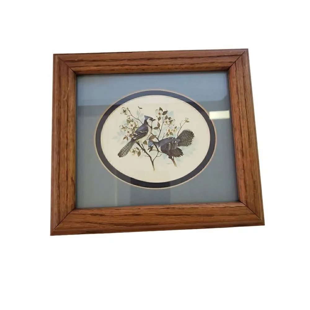 Framed Blue Jay Wall Hanging